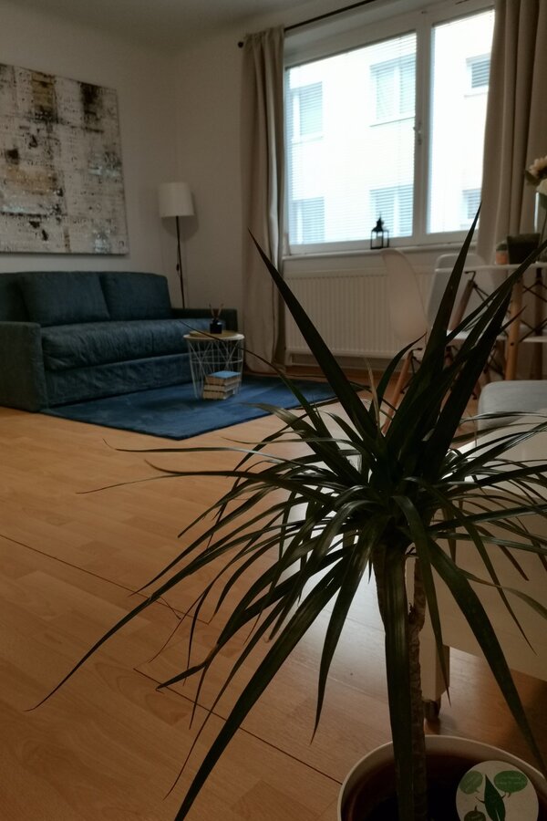 TV sofa