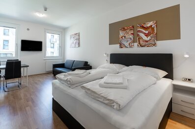 Bright 1-room apartment with double bed & sofa – short-term rental & temporary housing for 1 to 6 months in Vienna