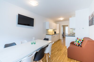Bright 3-room apartment with open kitchen & TV – short-term rental & temporary housing for 1 to 6 months in Vienna