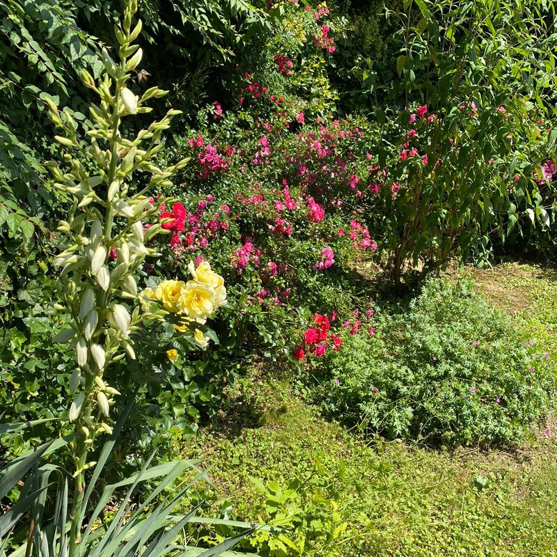 Garten