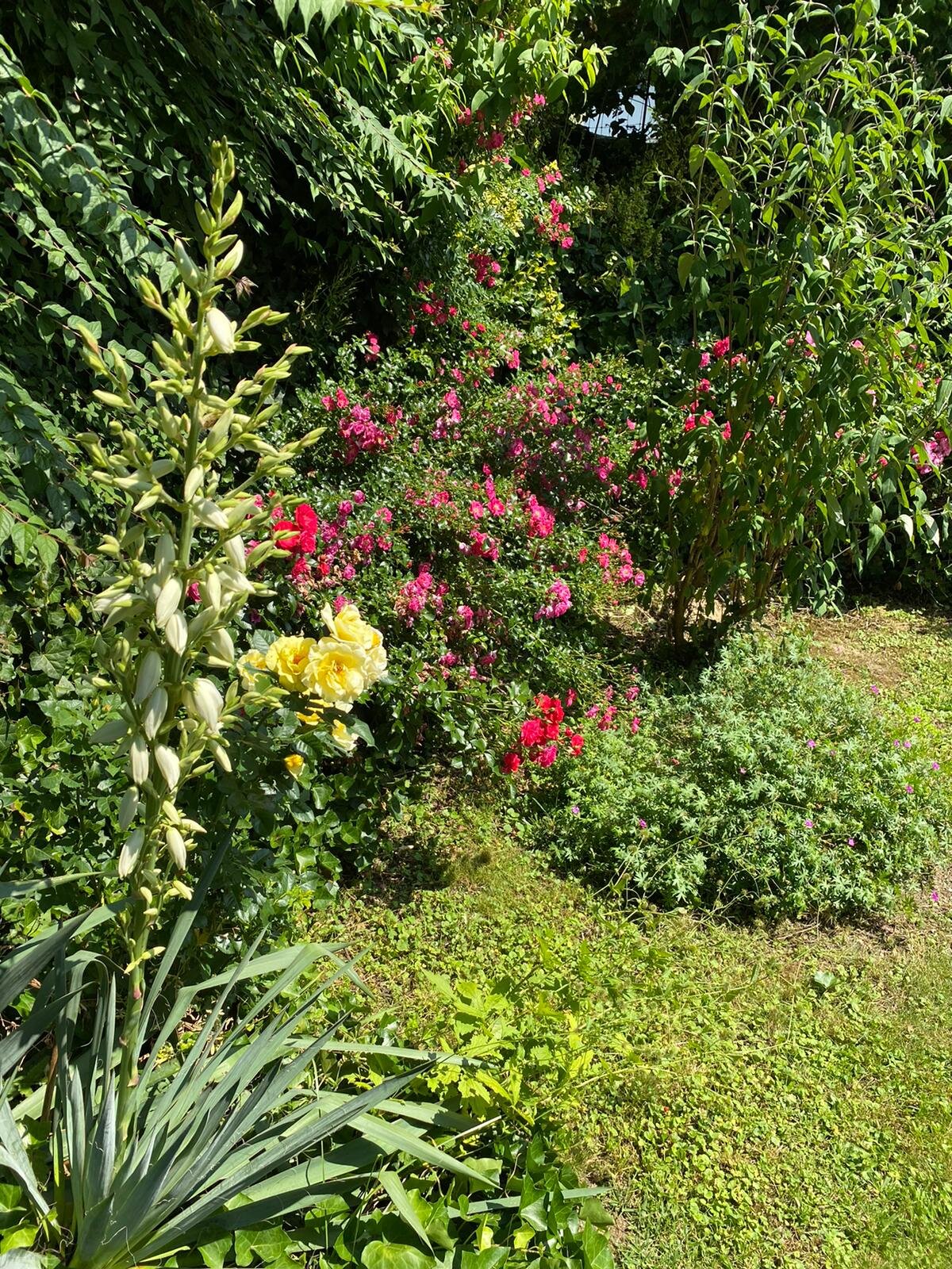 Garten