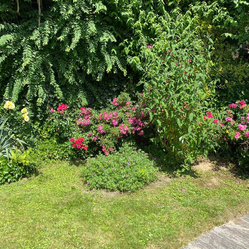 Garten