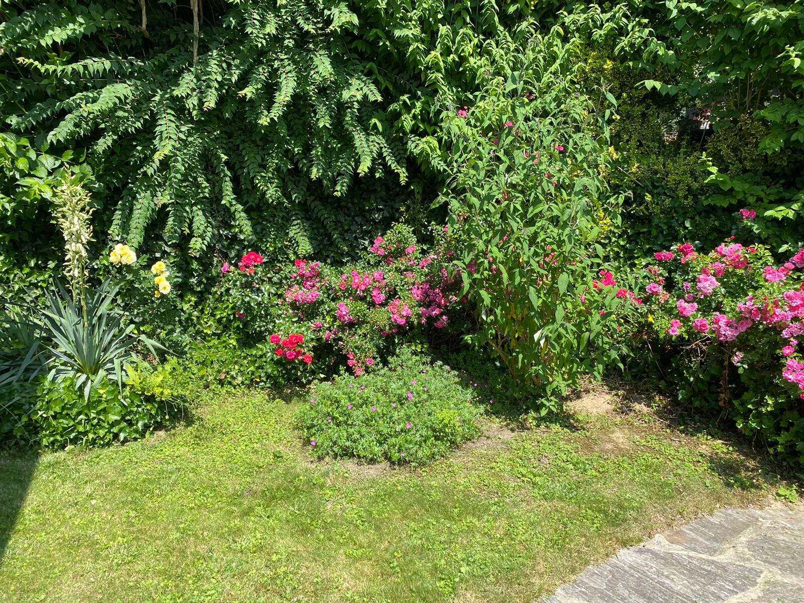 Garten