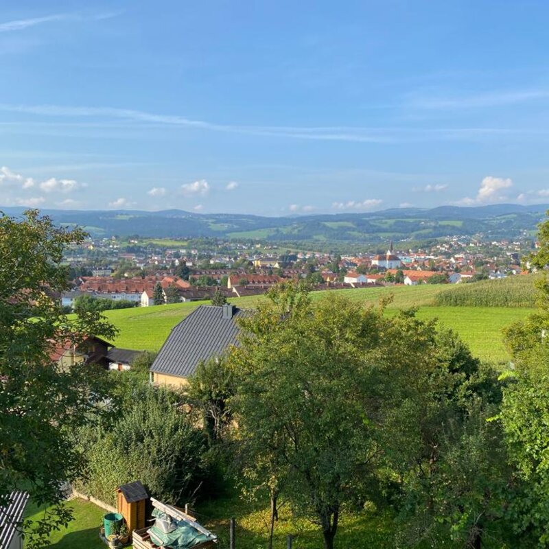 Ausblick 