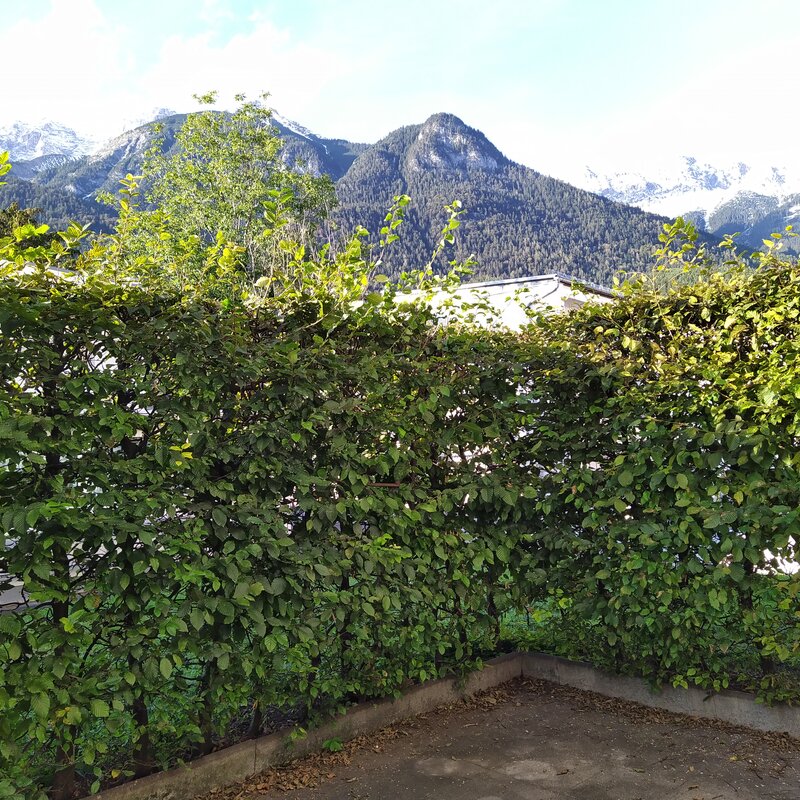 Blick auf die Nordkette | © WZ