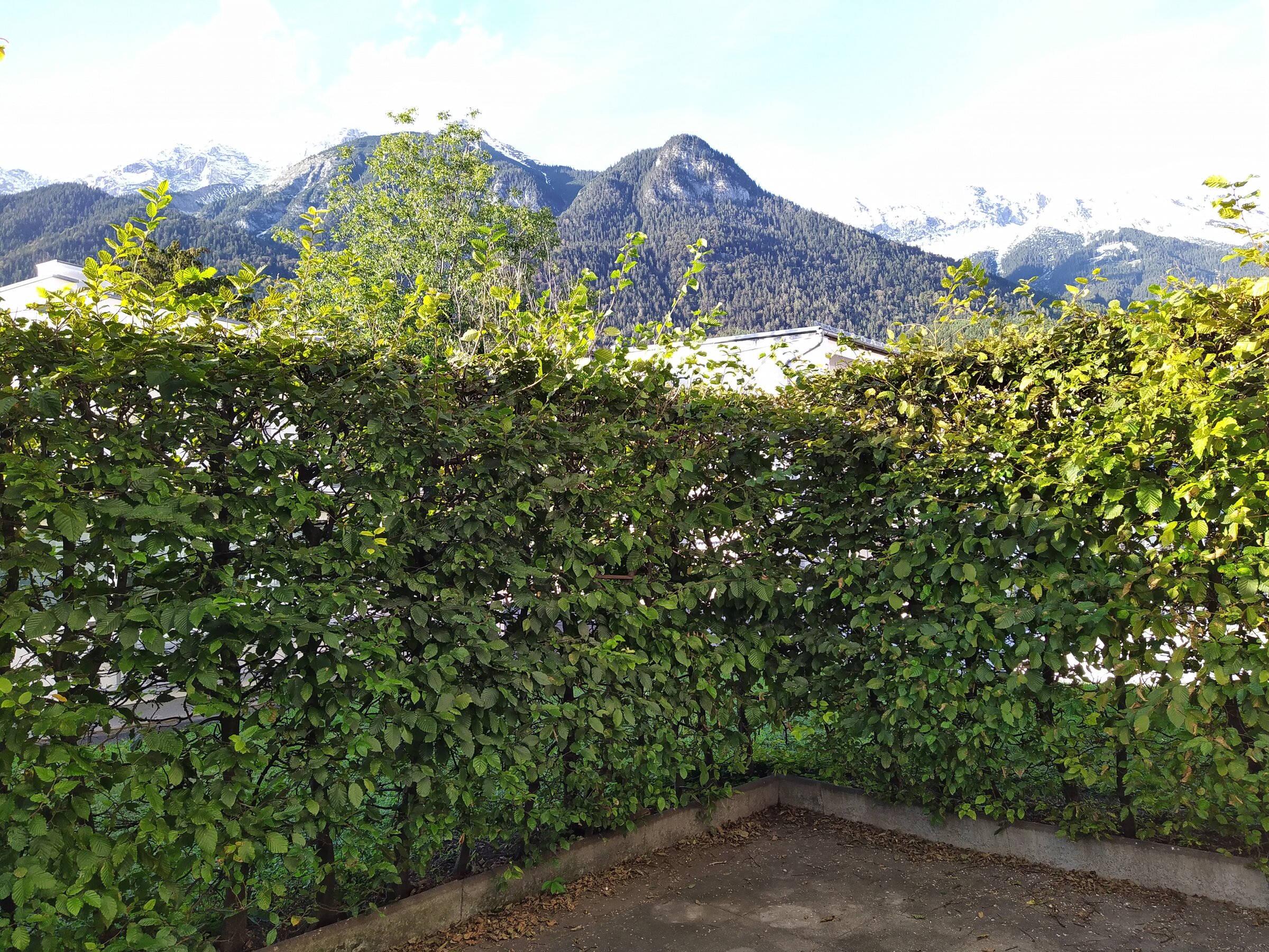 Blick auf die Nordkette | © WZ