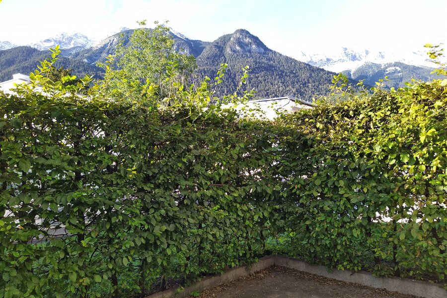 Blick auf die Nordkette | © WZ