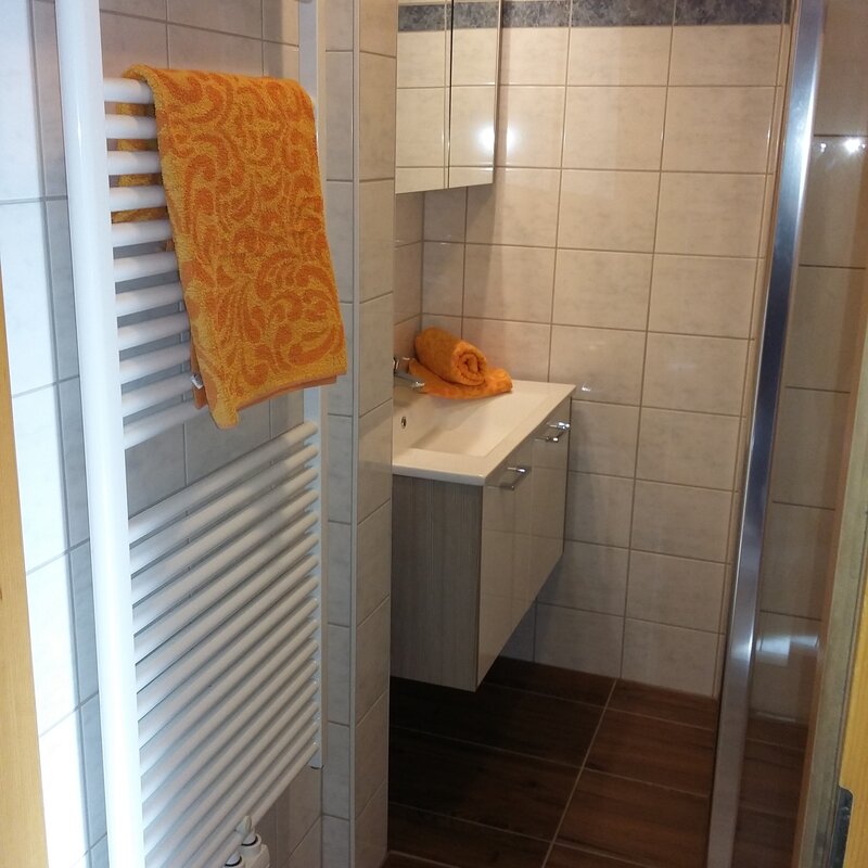 Shower, WC, washbasin