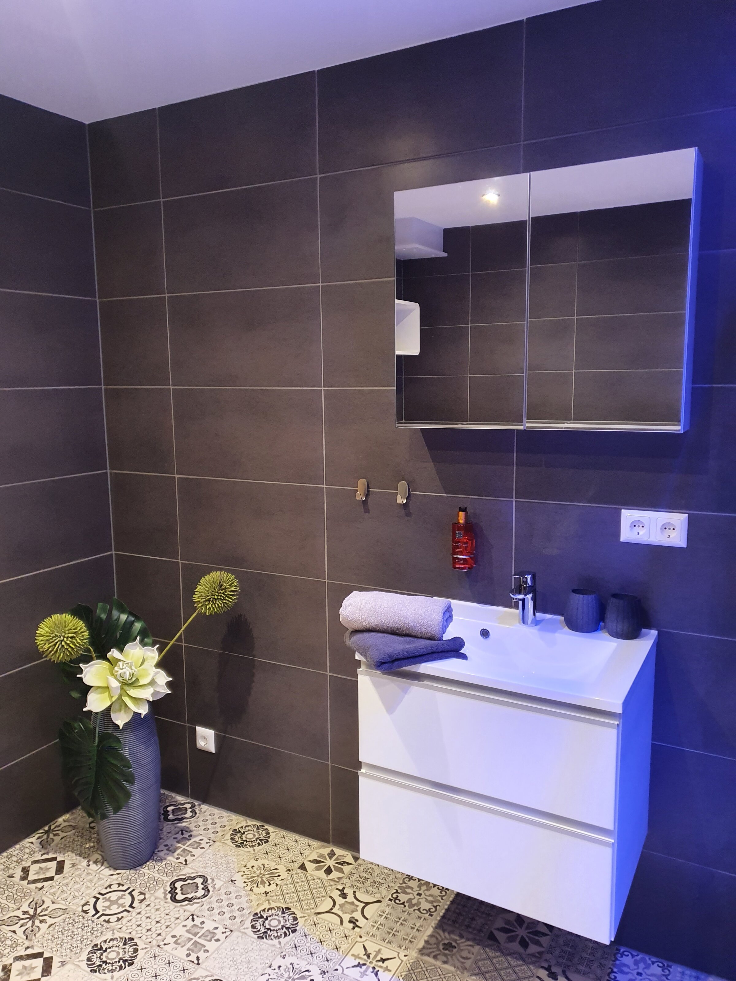 Washing area, hair dryer