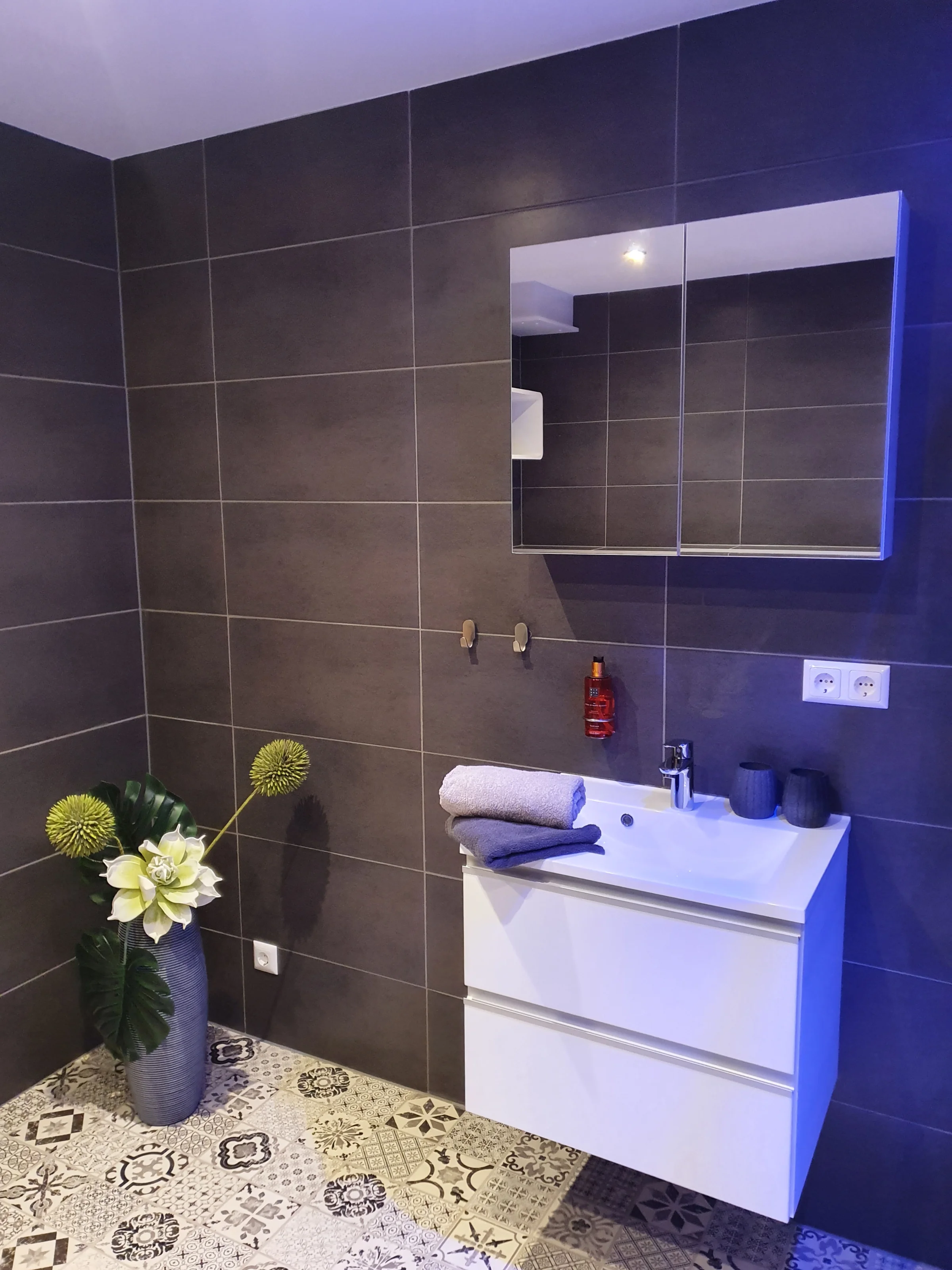 Washing area, hair dryer