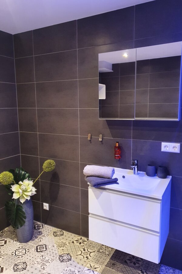 Washing area, hair dryer