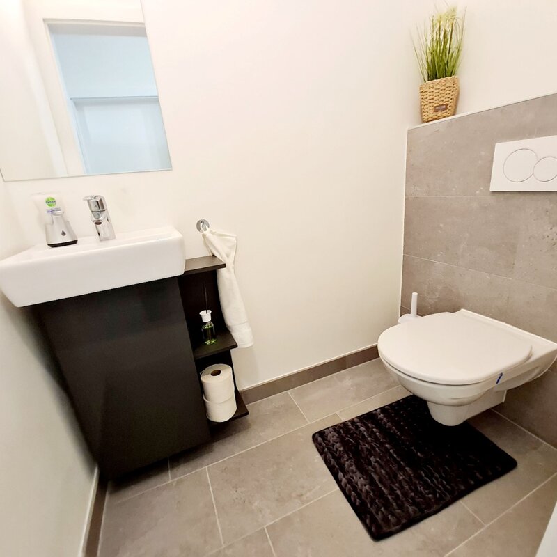 WC with hand wash basin
