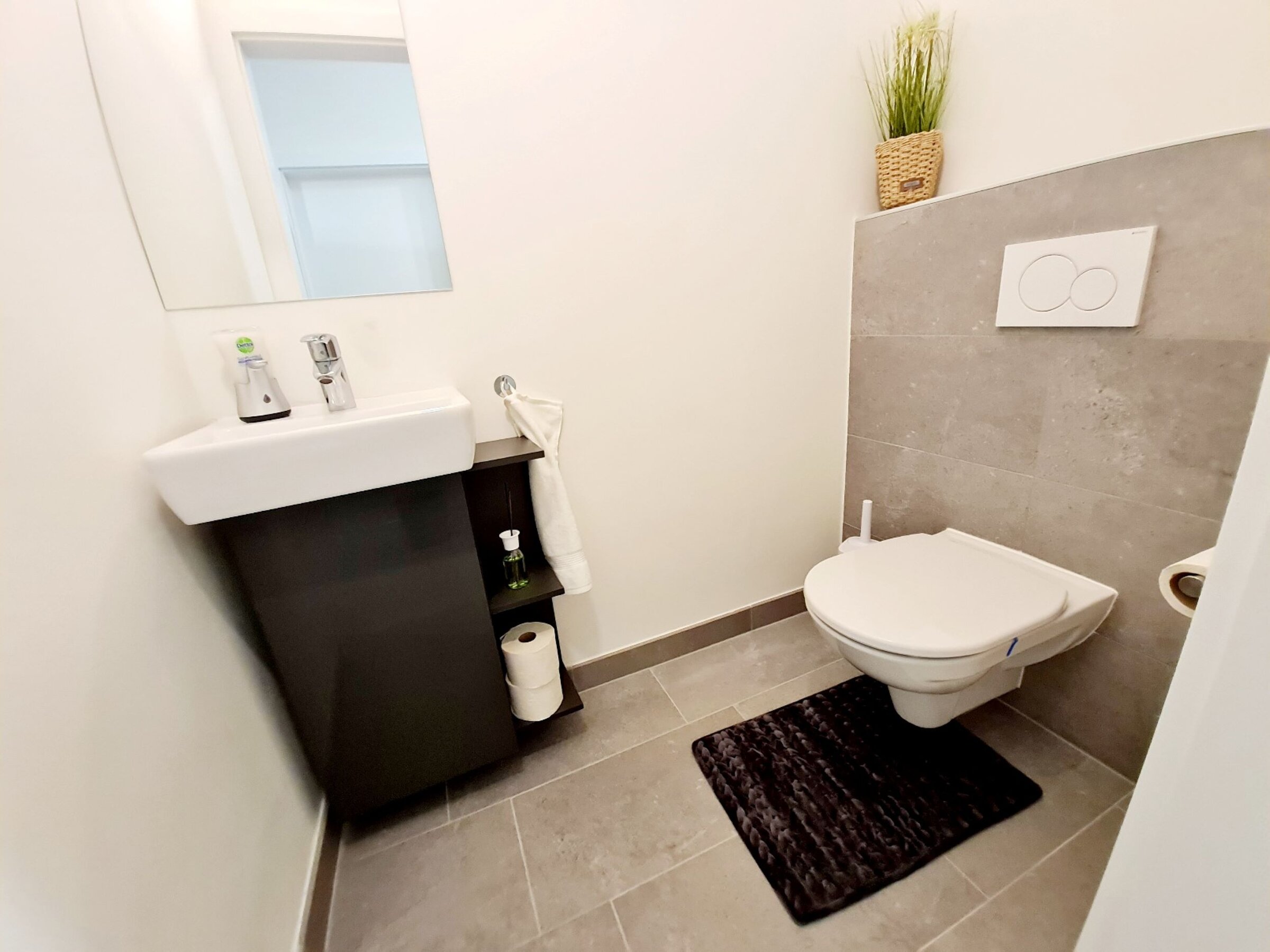 WC with hand wash basin