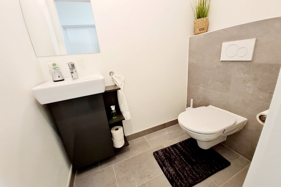 WC with hand wash basin