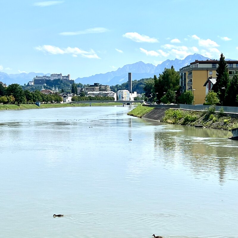 Rad und Fussweg ins Zentrum | © globe.birdz