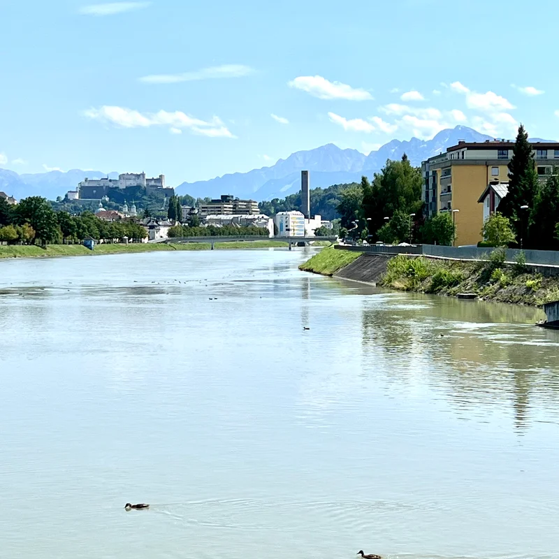 Rad und Fussweg ins Zentrum | © globe.birdz