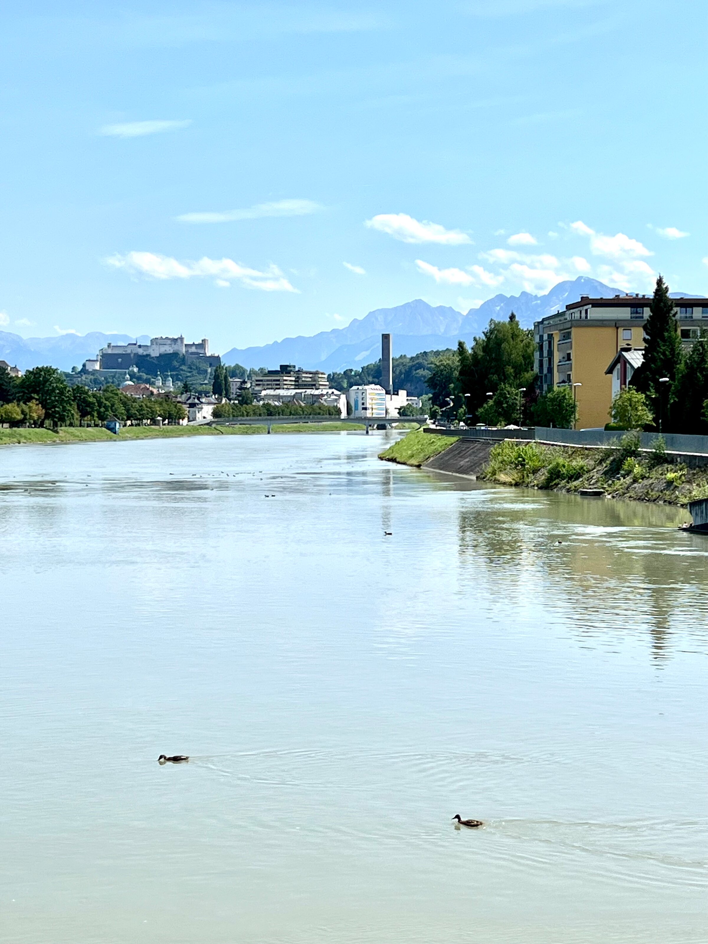 bike & walking path to the city center | © globe.birdz
