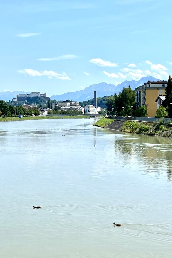 Rad und Fussweg ins Zentrum | © globe.birdz