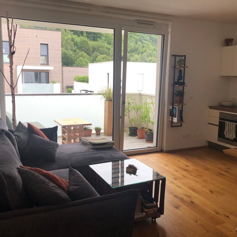 Forest view from couch and dining table