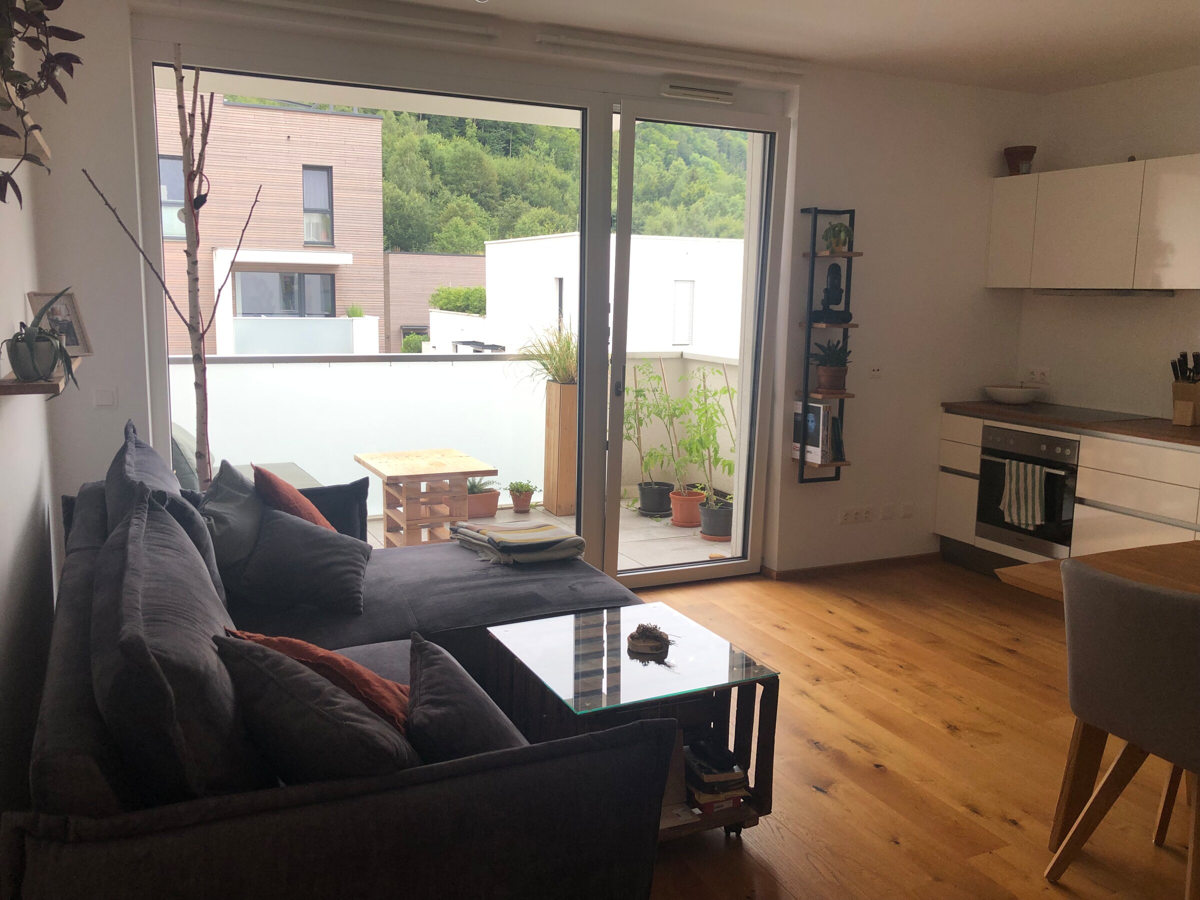 Forest view from couch and dining table
