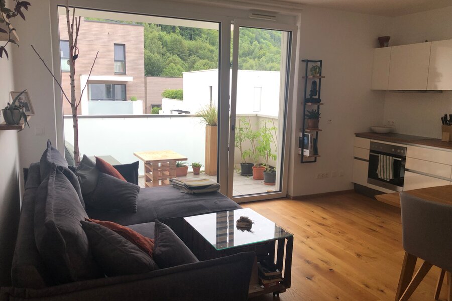 Forest view from couch and dining table