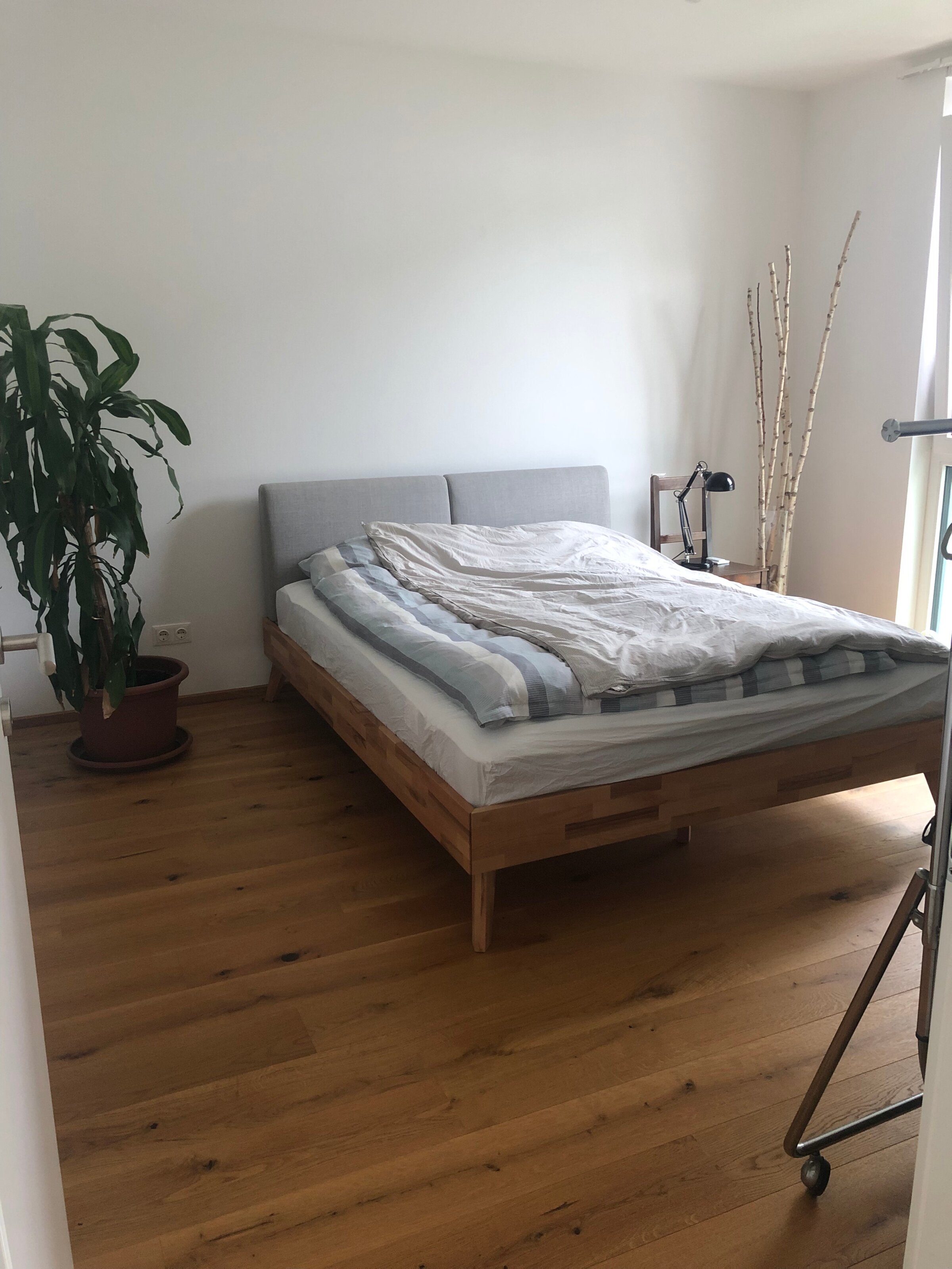 Please treat Barbara (the big plant) well :)