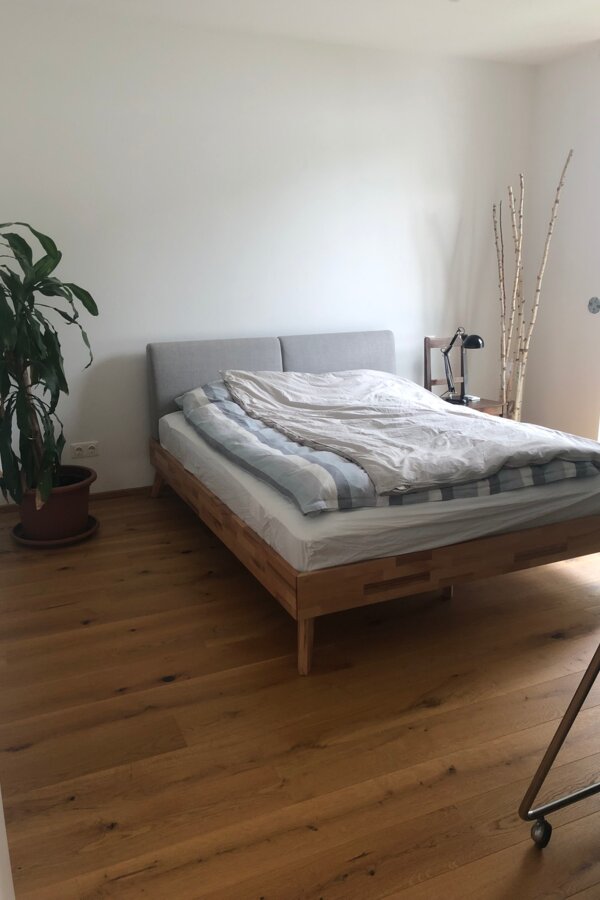 Please treat Barbara (the big plant) well :)