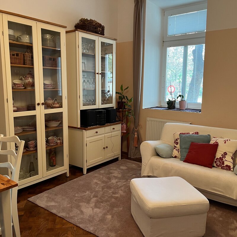 Living and Dining Room