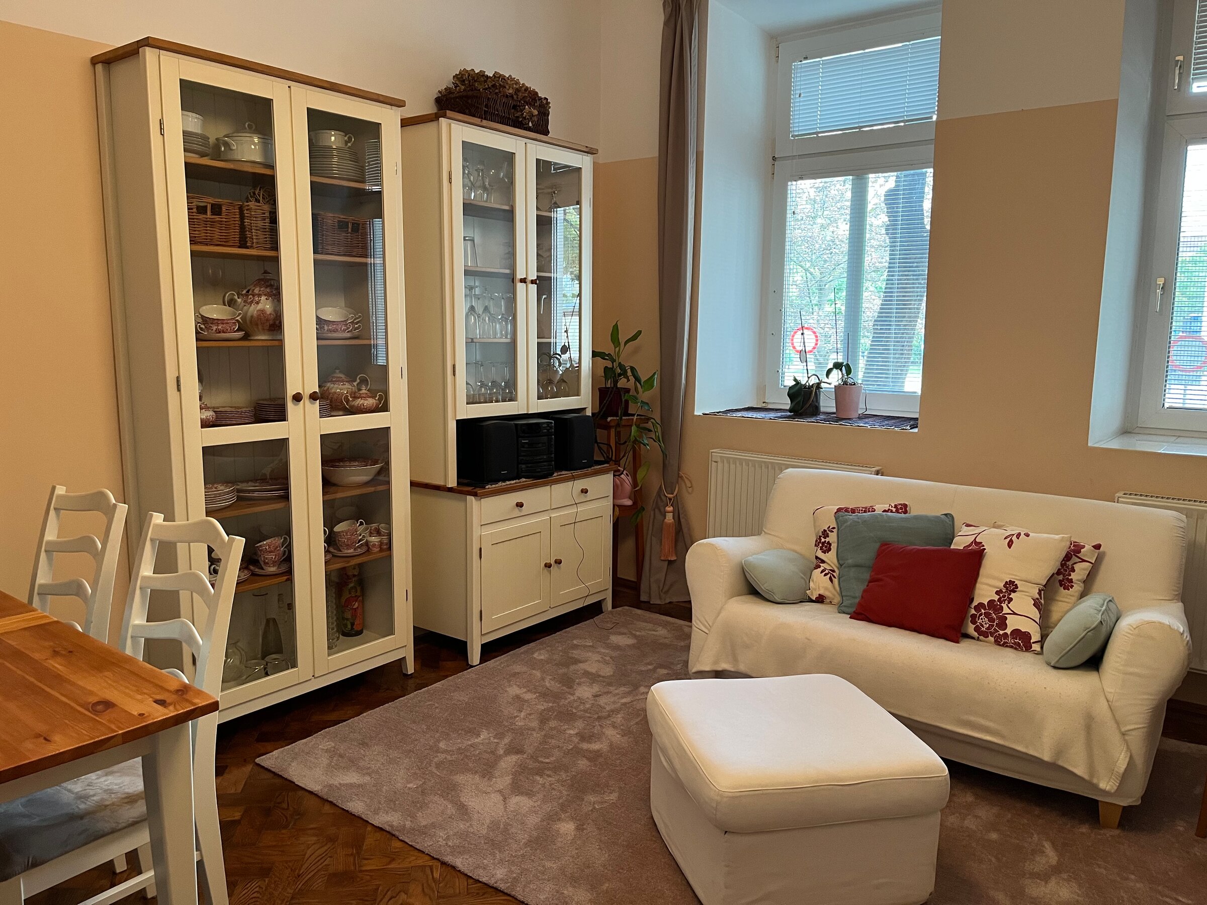 Living and Dining Room