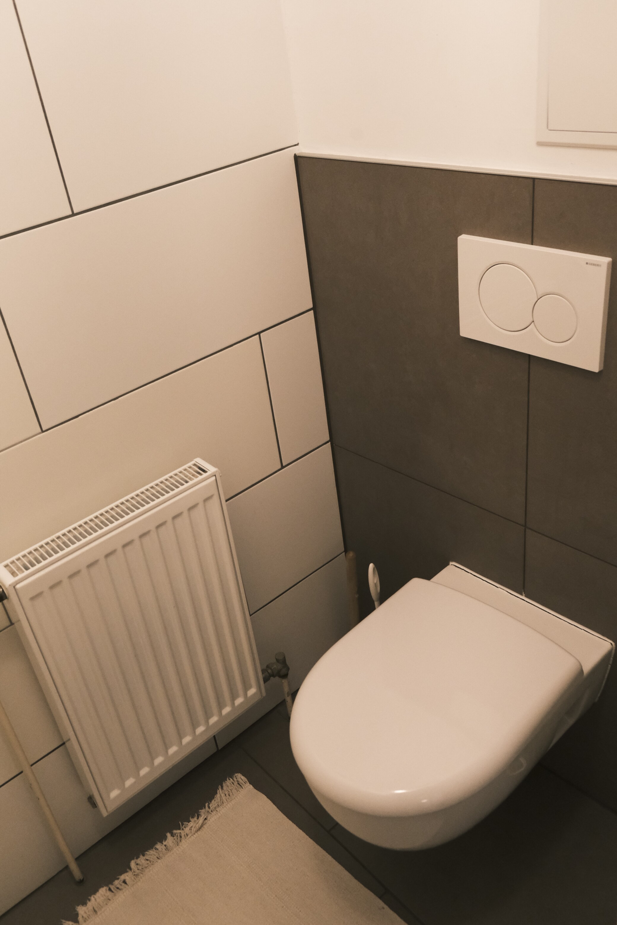 Separate Toilet