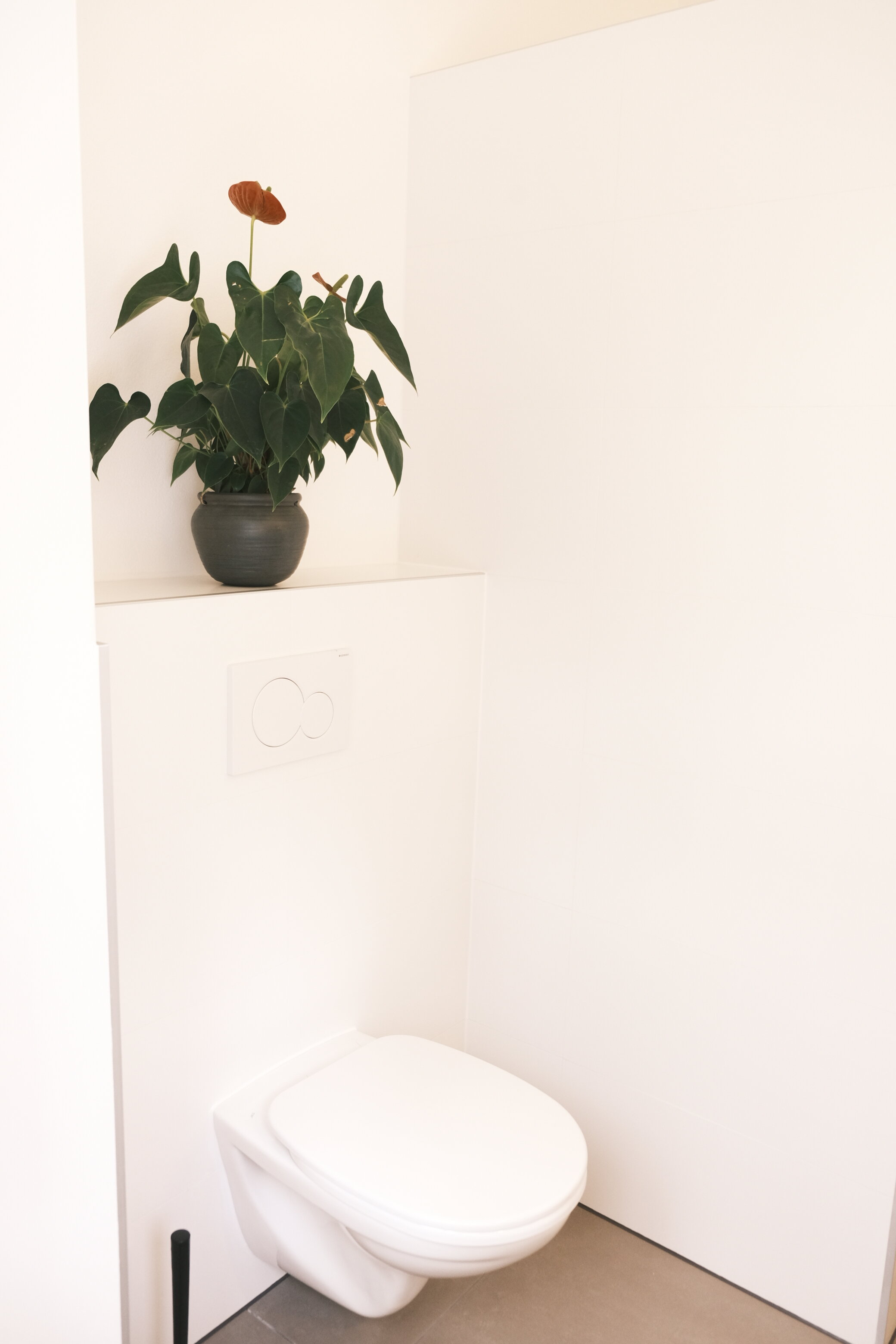 Toilette