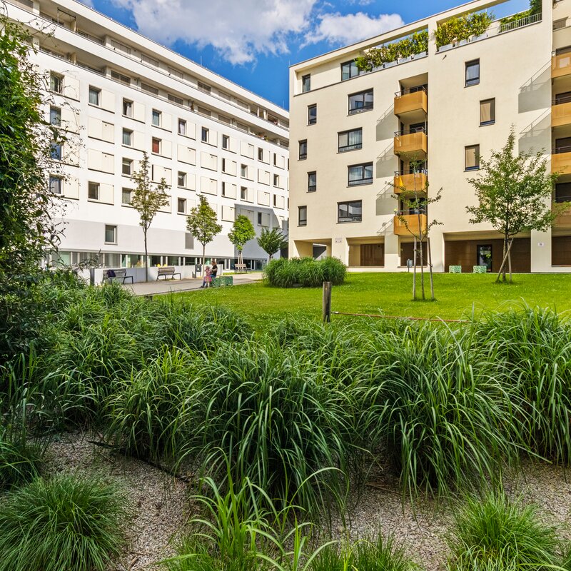 Green courtyard of a 2-room apartment – short-term rental & temporary housing in Vienna, for 1 to 6 months