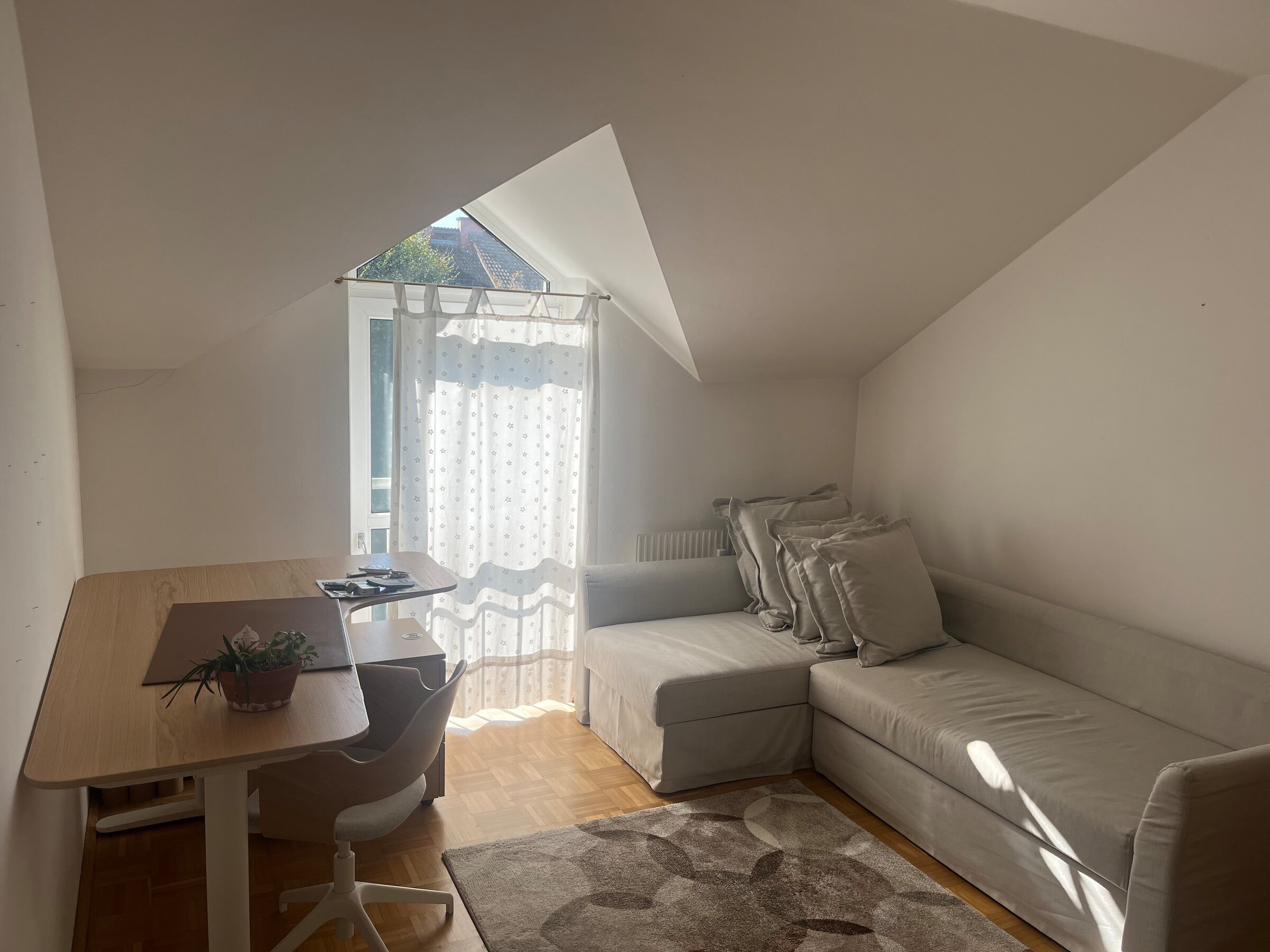 Schreibtisch und Schlafsofa