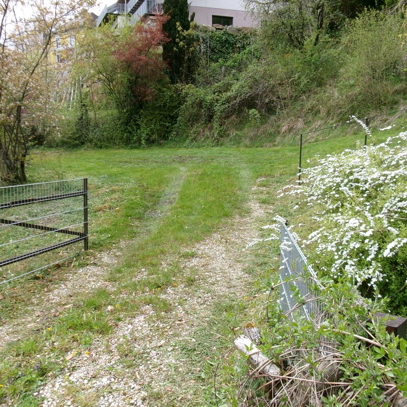 Auffahrt und Parkplatz | © rh