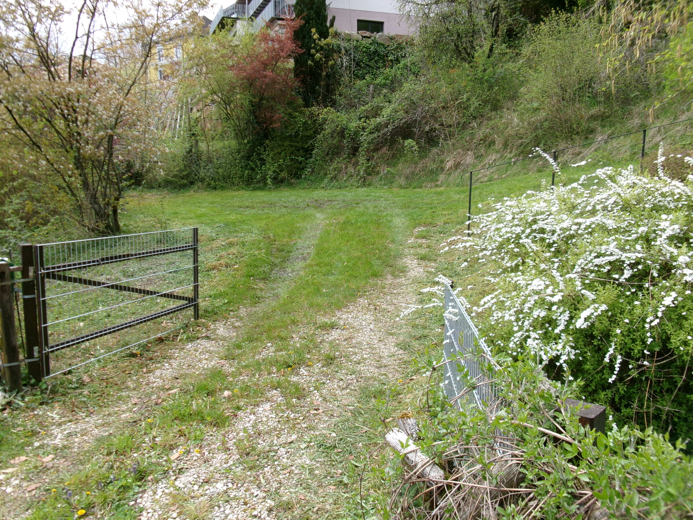 Auffahrt und Parkplatz | © rh