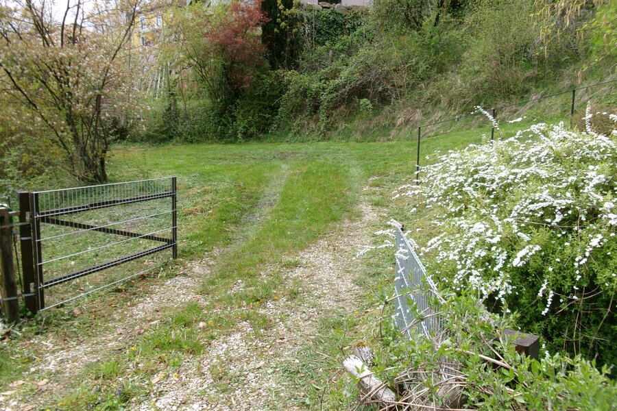 Auffahrt und Parkplatz | © rh