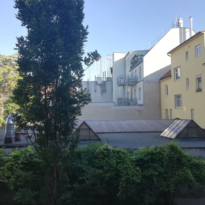 View from the terrace