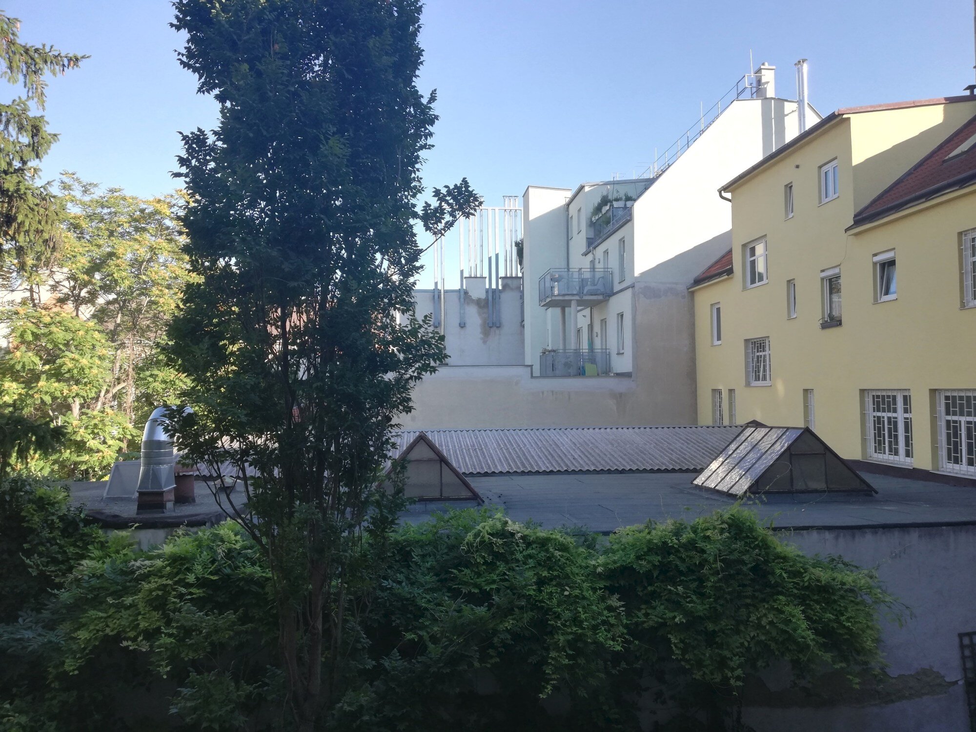 View from the terrace