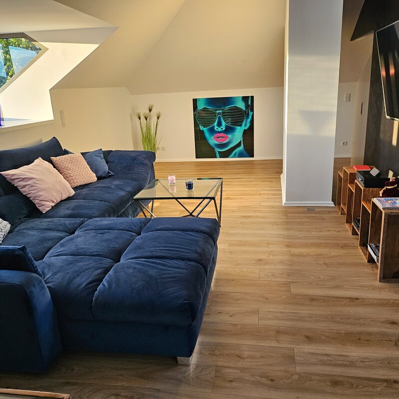 Another view into the apartment