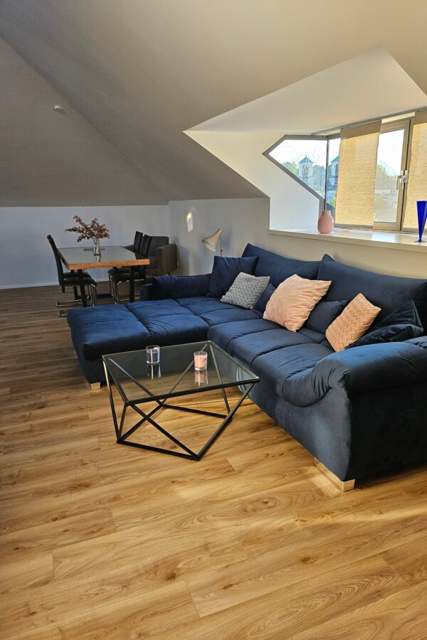 Another view into the apartment