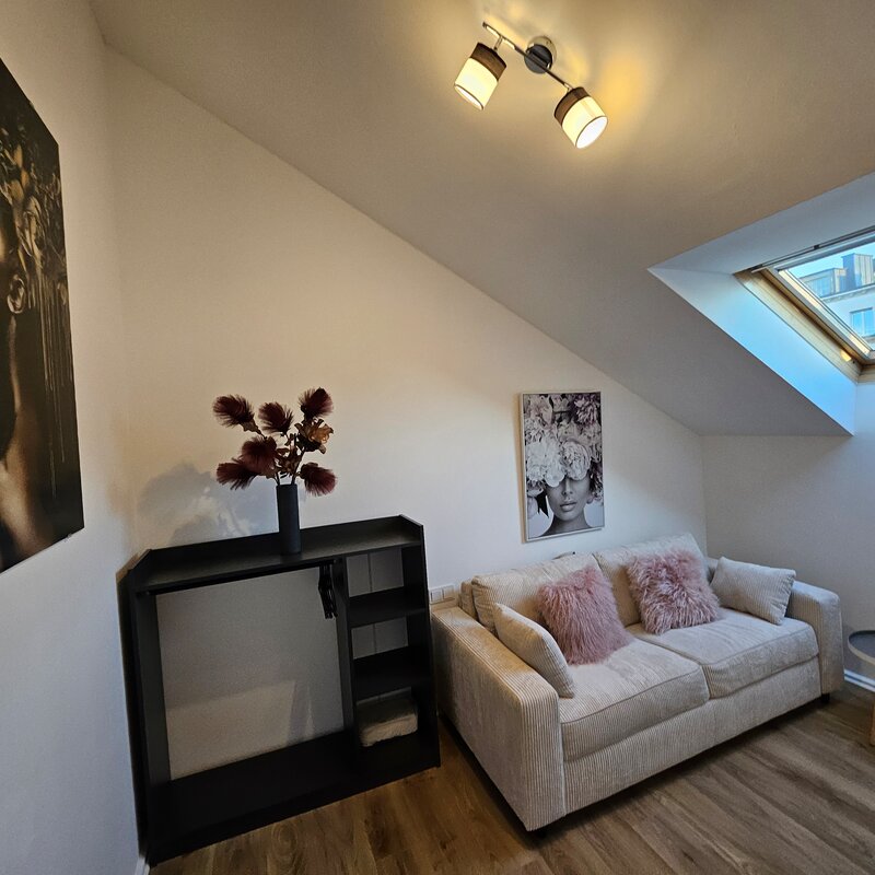 Additional room with pull-out sofa bed