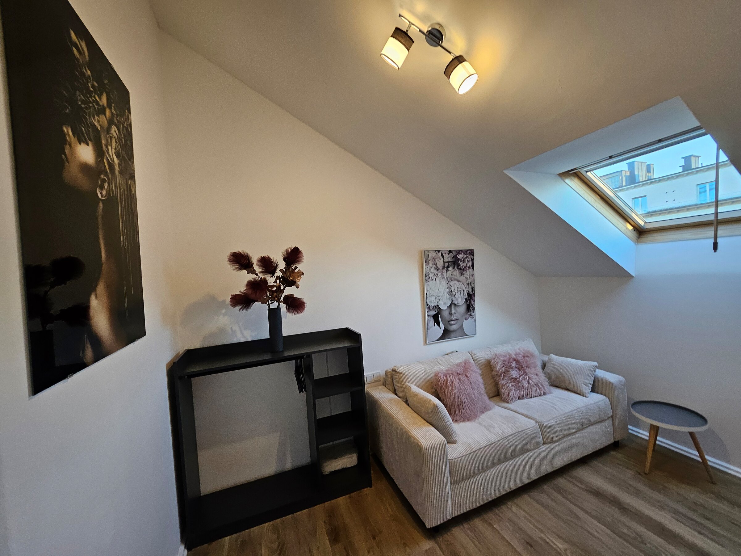 Additional room with pull-out sofa bed