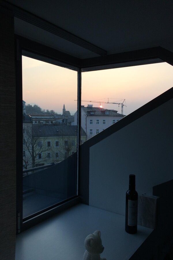 Window view