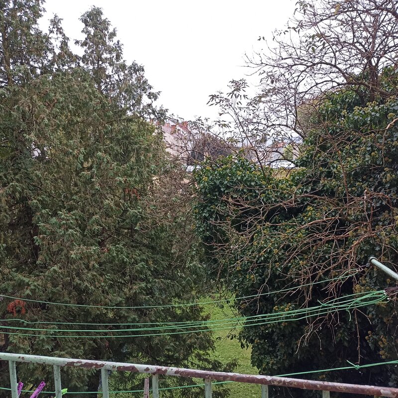 Blick in den Innenhof