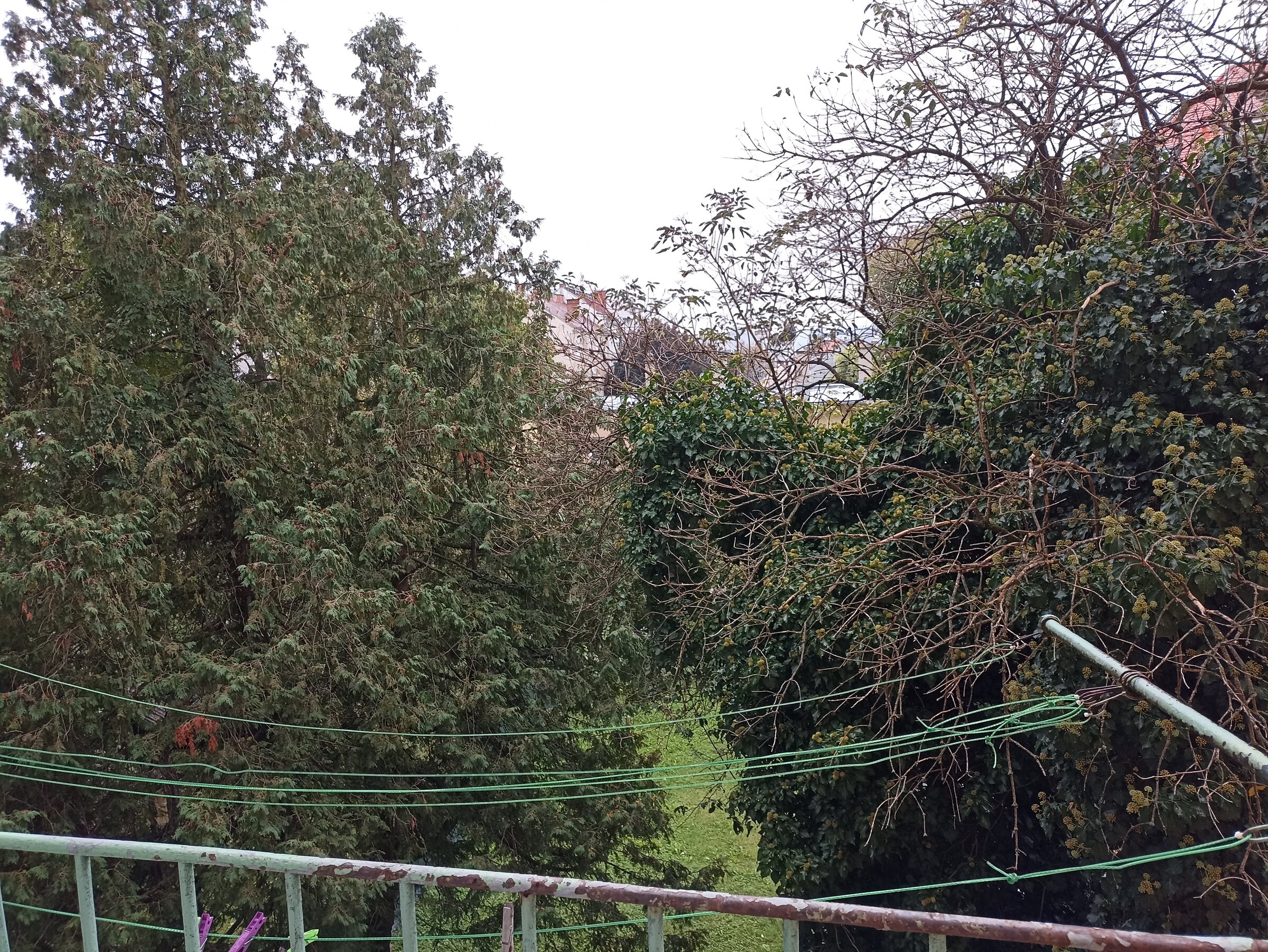 Blick in den Innenhof