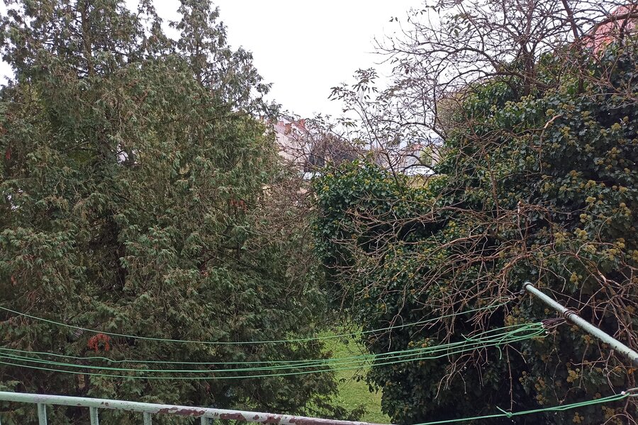 Blick in den Innenhof