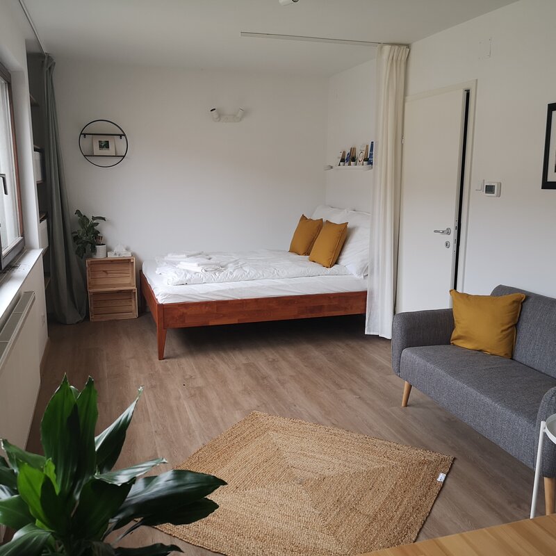 Smartly furnished it offers everything you need to feel at home. A cosy sleeping area, a nordic couch and big windows allowing a lot of light coming in. 