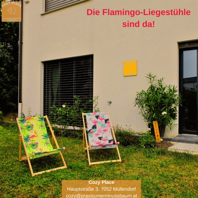 Garten - Flamingo-Liegestühle