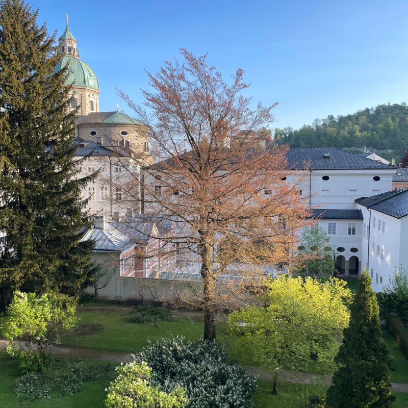 Ausblick Schlafzimmer 