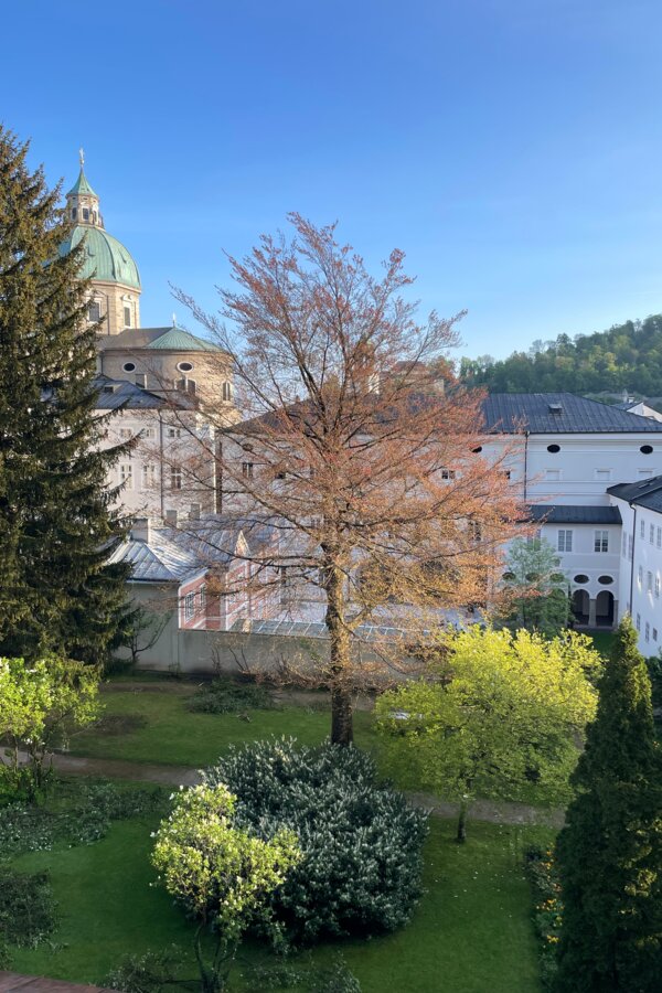 Ausblick Schlafzimmer 
